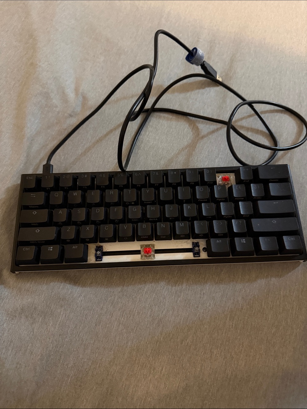 Compact Wired Tenkeyless Mechanical Keyboard - Black, Cherry Red Switches